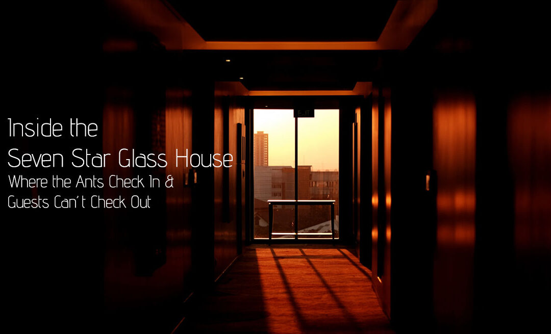 The Seven-Star Glass House